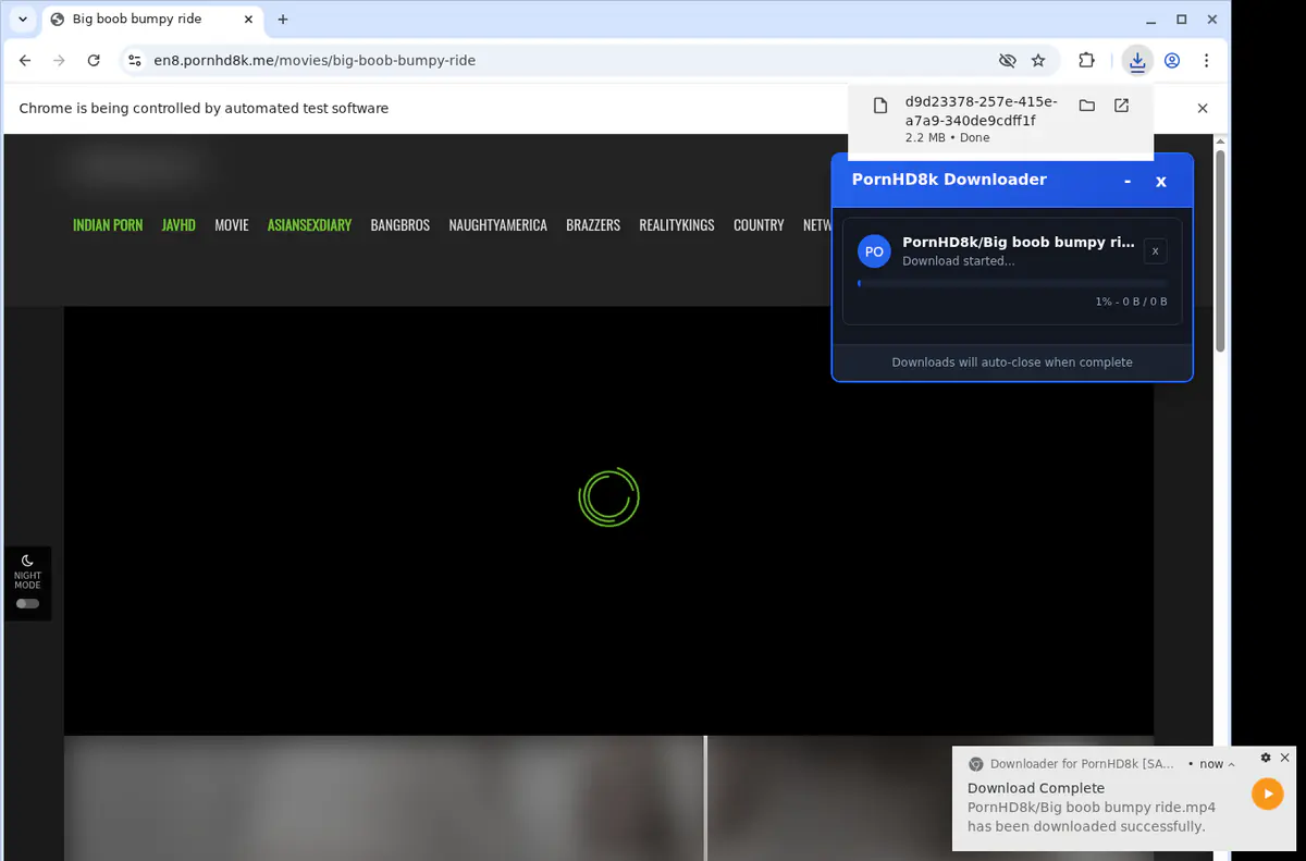 Pornhd 8 K Video Downloader browser extension screenshot 2