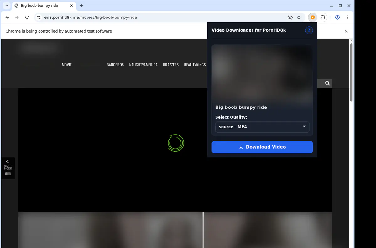 Pornhd 8 K Video Downloader browser extension screenshot 3